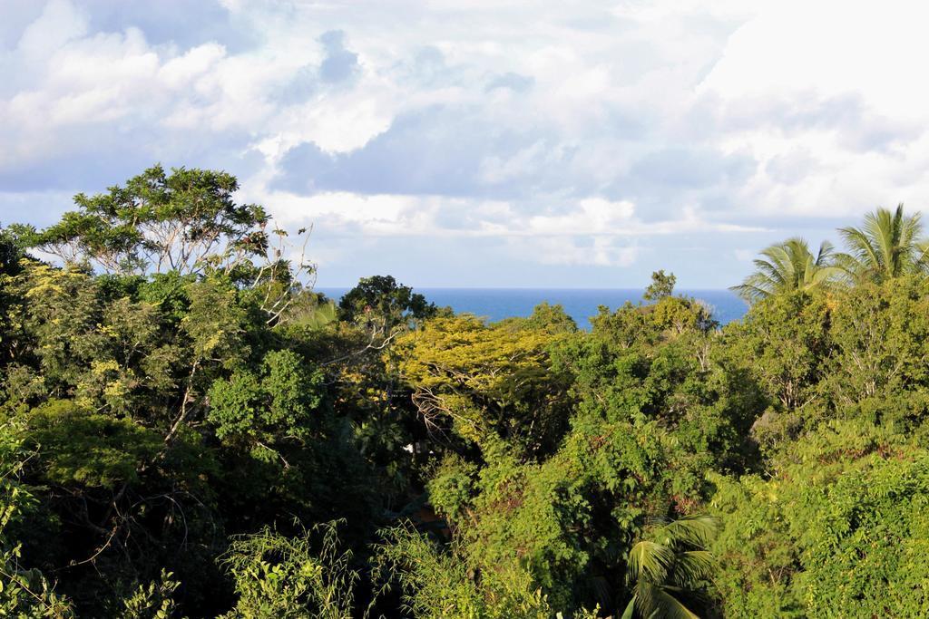 פורטו סגורו Novos Baianos Hostel E Pousada מראה חיצוני תמונה View of the rainforest from the summit of Mount Banda Banda