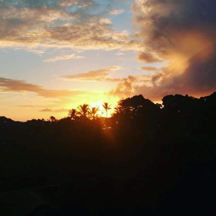 פורטו סגורו Novos Baianos Hostel E Pousada מראה חיצוני תמונה Sunset in the rainforest